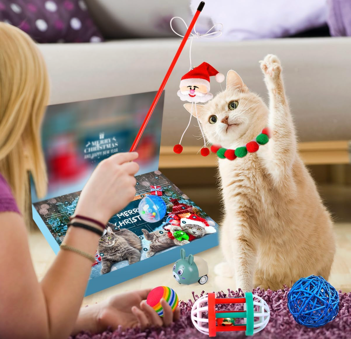 Cat Advent Calendar