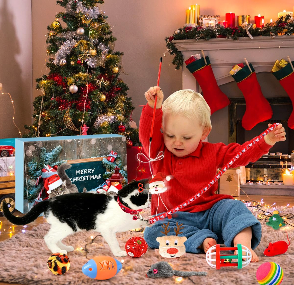 Cat Advent Calendar