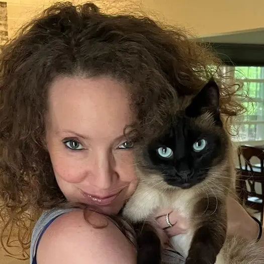 files/cat_mom.webp